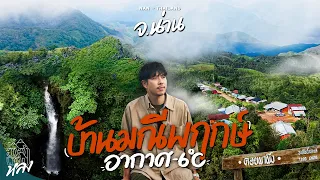 นอนบนดอยเมล็ดกาแฟดีสุดในไทย พิชิตดอยผาผึ้ง และน้ำตกลับกลางป่า บ้านมณีพฤกษ์ Unseen น่าน | อาสาพาไปหลง