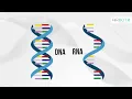 How Does UV-C Inactivate Microorganisms