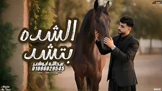 الشده بتشد جديد وحصري عبدالله ابو شعر2025 من وين يصقر 