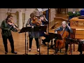 Bach: Brandenburg Concerto No. 6 in B Flat Major BWV 1051, Voices of Music 4K UHD