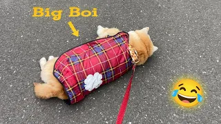 How to walk Big Boi