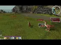 Guild Wars - Pet UI basics