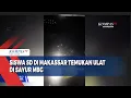 Download Lagu Siswa SD Di Makassar Temukan Ulat Di Sayur MBG