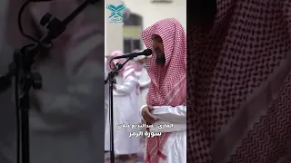 القارئ عبدالبديع غيلان ويوم القيامة ترى الذين كذبوا على الله وجوههم مسودة الزمر عبق التلاوات  القارئ عبدالبديع غيلان ويوم القيامة ترى الذين كذبوا على الله وجوههم مسودة الزمر عبق التلاوات