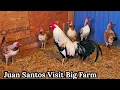 Juan Visit Jeremy Chandler and Blue Ridge Mountains Feeding Time Shape Chicken Coop Outdoor Indoor