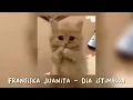 Lagu Fransiska Juanita - Dia Istimewa (Speed up)