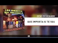 Que Importa Si Te Vas, Los Gigantes Del Vallenato - Audio
