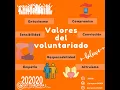 Tipos de voluntariado
