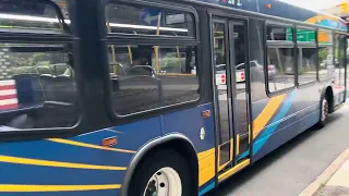 MTA Q36 Bus To Jaimaca 165th Street Bus Terminal Via Little Neck Parkway