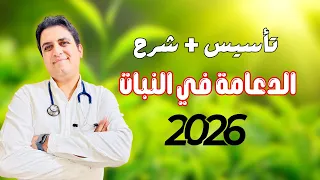 الدعامة في النبات 2026 تأسيس شرح ثانوية عامة 2026 
