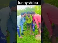 Download Lagu Mungra mungra ka Raja #shortsfeed #viral #funnyvideo #shorts
