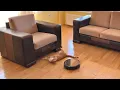Robot Vacuum Pushes Cat Under Couch