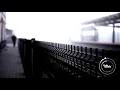 fushou. - photosynthesis.