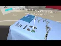 Array Clamp 6