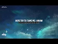 Princesses Don't Cry - CARYS [Lyrics/Vietsub]