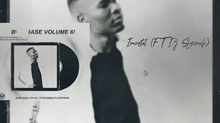 pro tee imortal ft dj sfrench 