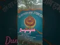 Download Lagu Monkey एक्सप्रेशन 😀// #donmonkey #viralshortvideo #neturalbeauty #nature