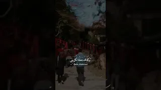 شاهد   الدنيا دار بلاء وامتحانات    مصطفى محمود  الدكتور مصطفى محمود  المفكر مصطفى محمود دندنها