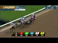 Oaklawn Park March 1 2026 The 1st Running of PIG TRAIL OVERNIGHT STAKES