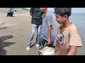 Download Lagu Ikan GT tangkapan pukat cin cin nelayan tradisional @FernandoeSorocaba #fishing #nelayan