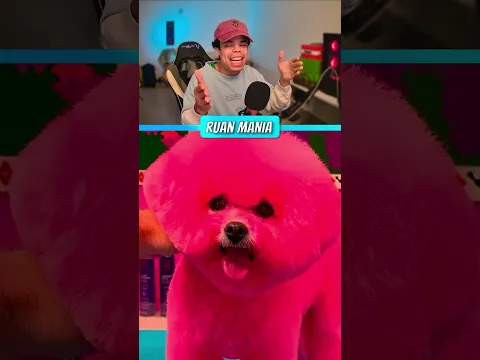 🟦 🐩 + 🎨 = ???
