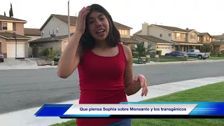 1080p