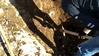 أسهل الكنوز الرانات المغلقة ران خف الجمل حفر مباشر 