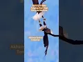 Download Lagu Burung Ini Mau Tangkap Ikan E Ternyata Manusia. #animals