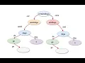 Leetcode 140 Word Break II recursion Facebook Coding Interview Part 1