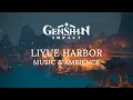 Rainy Night in Liyue (Genshin Impact Music and Ambience)