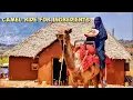 Download Lagu Cooking Moroccan Msemen \u0026 Beef Curry Outside Our African House!