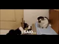 A funny gif meme send it to ur friends and don t forget to like and subscribe me