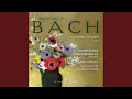 Lagu Was mir behagt, ist nur die muntre Jagd, BWV 208: No. 9, Sheep May Safely Graze (Arr. E. Petri...