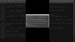 Testing java maven failsafe junit5 sieve segment cli
