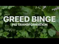 Greed Binge Feedee Hypnosis