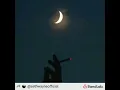 Seth Wayne - Thank You For Everything