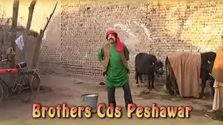 اسماعیل شاهد له خندا ډک لیپ 