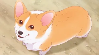 YouTube影片, 內容是殿と犬 的 PV2