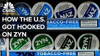 Why Zyn Pouches Have Taken Off In The U S