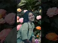 Download Lagu Hanya lah dirimu yang bermain didalam khayal ku