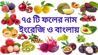 fruits name i fruits name in bengali and english i education 