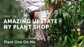 This 105-Year Old PLANT SHOP & NURSERY Has Everything! — Ep. 441