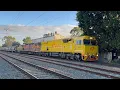 Aurizon freights at Hawker St 1PM1 2182s