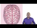 Segmenting Targeting Positioning - Differentiation and Positioning Explained