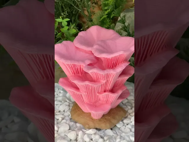 Oyster Mushroom Cluster video thumbnail