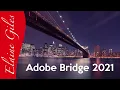 Adobe Bridge 2021