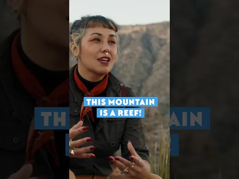 This Mountain Is A Reef