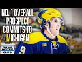 Michigan Is A WAGON