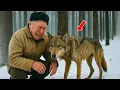 Download Lagu WYCZERPANY WILK POPROSIŁ O POMOC STARSZEGO MĘŻCZYZNĘ… ALE NIKT NIE SPODZIEWAŁ SIĘ TAKIEGO FINAŁU!
