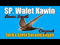 SP WALET KAWIN